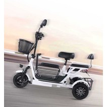 3륜전기자전거 고성능 배달용 화물 전기 3발, 상세 페이지 참고, 듀얼드라이브3인승/10A/수명40km