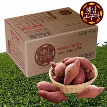 해남황토고구마 2022 해남 꿀고구마 중사이즈 3kg(60-110g), 없음