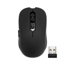 LG 울트라 PC 보일 무선 마우스, 블랙