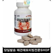 강아지탈골 애견슬개골탈구 강아지쓸개골탈구 강아지탈구 말티즈슬개골탈구 말티즈슬개골