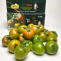 정품 프리미엄 대저 짭짤이 토마토 2.5kg, 정품 대저토마토 2.5kg 중과