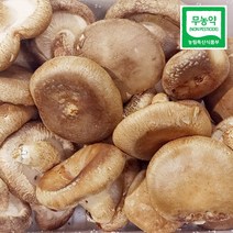 농사꾼아내 무농약 생표고 버섯 500g/1kg 못난이 파지 가정용, 표고버섯 가정용 1kg, 1개
