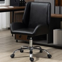 사무실 진피 금속 스틸 고탄성 라텍스 스폰지 인체공학 회의 좌식 가정용 등받이, 3.Black dwarf shake