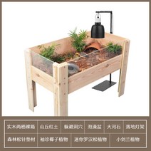 렉 육지거북이 렉사육장 도마뱀키우기 도마뱀분양 설가타육지거북, 기본사육장세트+라이트개