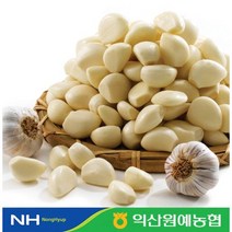 [익산원예농협] 건강한 국내산 깐마늘 1 / 2 / 3 /5 kg, 1kg
