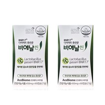 bmr17 유산균 비엔나17 비엔알17 비엔나17 비엔알 비앤알 비애날씬 17 비에날씬 가루 추천 분말 락토바실러스 가세리 김희선 다이어트 유산균, 2개월분