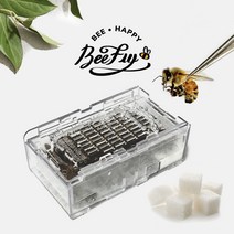 비플라이 건강한 벌 벌침 봉침 벌침용벌+먹이서비스, 100~120마리, 1통