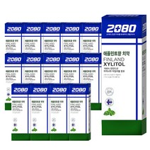 애경 2080자일리톨 애플민트치약100g, 100g, 15개