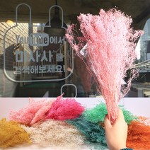 드라이플라워 프리저브드 안개꽃 7종 플라워 꽃 한다발, 연베이지
