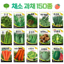 쌈 채소 씨앗 모음 고수 공심채 루꼴라 궁채나물 상추씨 동남아 종자, 26. 적겨자 5g