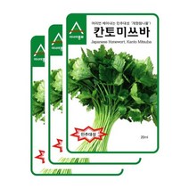 참나물씨앗 만추개량 칸토미스바- (5gx3) S2403