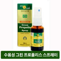 HNH365 브라질 프리미엄 그린프로폴리스 스프레이 30ml 수용성 항산화 프로보노이드 아르테필린C 함유 HNH365 설명절부모님선물추천베스트, 1개