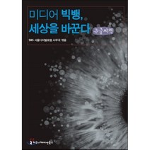 미디어 빅뱅 세상을 바꾼다, 커뮤니케이션북스, SBS 서울디지털포럼 사무국 저