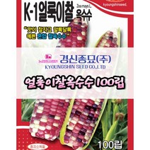 찰옥수수 씨앗 얼룩이찰 100립 당일발송 경신종묘