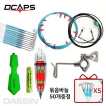 디캡스 캡스 갈치채비 세트 6종 갈치기둥줄 갈치바늘 집어등 (갈치묶음바늘50개증정) 낚싯바늘, 바늘2호-호리병야광봉돌(주물)800g