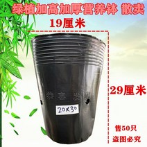 블랙 비닐 화분 모종 포트 분갈이 컵 비닐포트 육묘 묘목 원예 다육이 화훼 식물 대형 텃밭, 16. 20x30 250pcs