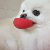 라텍스공 만득이인형 강아지이갈이장난감 공놀이, 1개, 랜덤발송