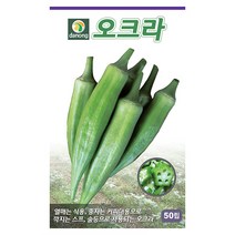 그린비타 풋고추 50립 - 씨 씨앗 오이고추 아삭이고추 고추씨앗 고추씨 채소씨 채소씨앗 오이고추씨앗 아삭이고추씨앗, 05_다농_오크라(50립)