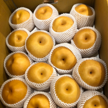 산지직송 전남 나주 고당도 가정용 햇 신고배 첫수확 5kg