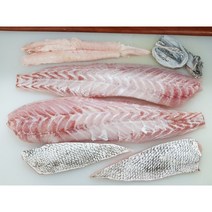 [신안/목포]제철 보양생선 손질 민어 500g(회+부레 껍질/2~3인분)+초장