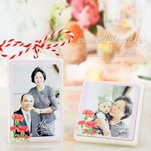 올데이 포토 석고방향제-카네이션(땡큐)-[본품+케이스+설명서], 레몬