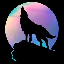 WOLF 자동차 포인트 스티커, M, HOLOGRAM