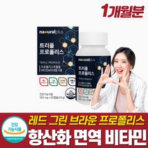 염증에 좋은 영양제 면역력 강화 입속 몸속 구강 항균 항산화제 프로폴리스 아연 비타민 캡슐 식약청 그린 레드 브라운 만성염증영양제 환절기 비염에 좋은 면연력 보충 강화제 츄어블
