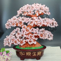 승진 선물 진급 칠순 정년 경찰 개업 축하 이사, A