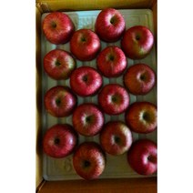 봉화사과부사(미안마) 5kg10kg, 5kg(18~20과)