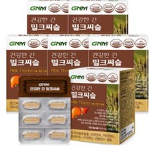 GNM 건강한 간 밀크씨슬 실리마린 6박스(총 6개월분), 상세페이지 참조, 상세페이지 참조