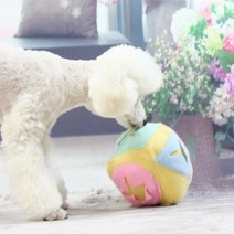 아트박스/에이치플러스몰 킁킁볼 토끼킁킁볼 노즈워크 간식볼 W86F4FC
