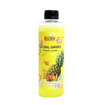 디테일링닥터스 실내세정제 내츄럴가든 파인애플 500ml