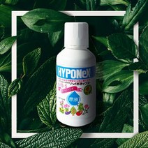 아시아종묘 하이포넥스 레이쇼 원액(6-10-5) 160ml, 단품없음