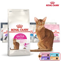 로얄캐닌 캣 세이버 엑시전트 2kg 입맛까다로운고양이 체중유지 요로건강, 간식/지퍼백등 증정, 2023.11