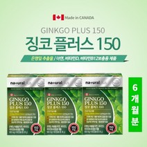 두뇌 머리 뇌혈관 확장 기억력 집중력 깜빡거림 뇌손상 브레인 개선 관리 에 좋은 은행잎 추출 징코 아연, 3BOX(6개월분)