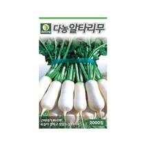 다농알타리무 씨앗 2000립 육질 연함 근비대 빠름, 단품