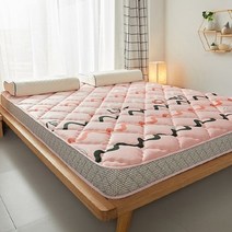 자취 매트리스 접이식 원룸 싱글 침대 메트리스 바닥 토퍼 라텍스 10cm 풍선 메모리 폼 커버 futon 침실 가구 tatami songk colchon