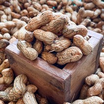 [덤증정] 농가살리기 국내산 햇 피땅콩 1kg 2kg 3kg, 500g+500g) 햇 피땅콩 총 1kg