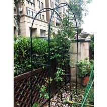 아치형 꽃꽂이 등나무꽂이 정원 월계화 스탠드 철선 연녹로 식물꽂이 야외 꽃문 정원 장식, 그린:1.4 너비 2.3m