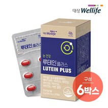 대상웰라이프 메이크미 루테인, 30캡슐, 6개