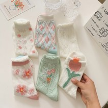 조이테리 패션양말 6p 세트