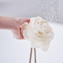<DDA> 로즈 장미 샤워볼, <oo>_아이보리_<QQ>” class=”wr-img”></a></div>
</p></div>
</p></div>
</p></div>
<div class=