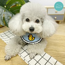 펫드래곤 강아지 고양이 케이프 스카프, 병아리L