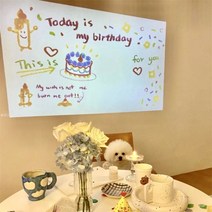 생일 축하 문구 미니빔 파티 배경 꾸미기 현수막 홀로그램 인스타 포토존 만들기 파티용 홈파티 용품 촬영 소품 제작 데코 조명 파티커튼, 사각 쁘띠 선녀 프로젝터 (배터리)