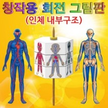 창작용 회전 그림판(인체 내부구조), 단일품목