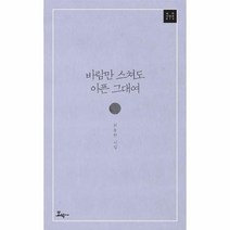 바람만 스쳐도 아픈 그대여 014 모악시인선, 상품명
