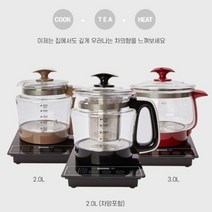 다기능 전기 약탕기 2L 3L 차망 3종 분유포트 한약 홍삼 인삼 다리기 요구르트 제조, 전기약탕기 2L(망)