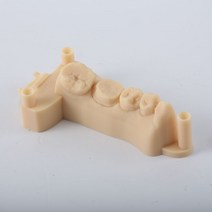 Resione DLPLCD 감광성 수지 치과 주조 컬러 3D 레진 D01SC01F80, 살구
