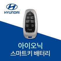 아이오닉 차키 건전지 스마트키 배터리 자동차 키 아이오닉8 밧데리 베터리, 5개