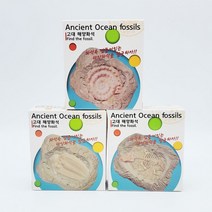 티라노사우르스 공룡 뼈 리얼 곤충 화석 지구 발굴 키트 12개 세트 삼엽충 암모나이트 초등 학생 과학 교구, 상세페이지 참조